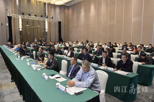 共創未來 第十屆海峽兩岸大千文化藝術交流活動暨2024兩岸青年創新創業交流活動掠影