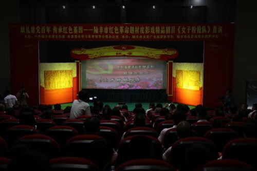 七大精品獻禮建黨100周年 陸豐開展系列文藝活動推動群眾文化活動蓬勃發展